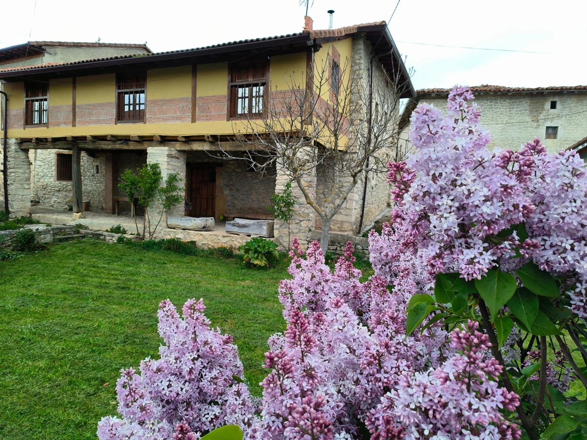 Casa Rural Los Soportales Colina Εξωτερικό φωτογραφία